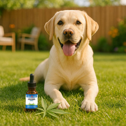 CBD-öljy koirille Hempseed