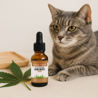 CBD oljy kissoille kana