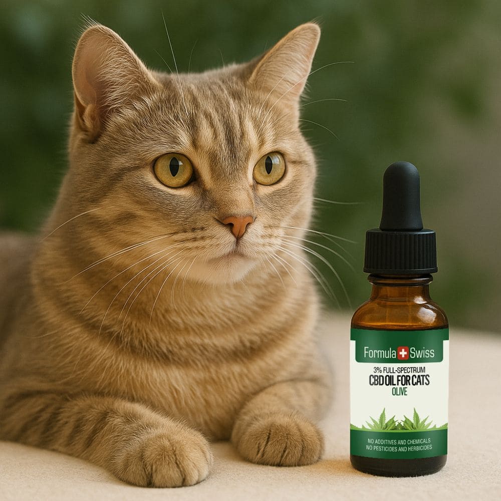 CBD oljy kissoille oliivi