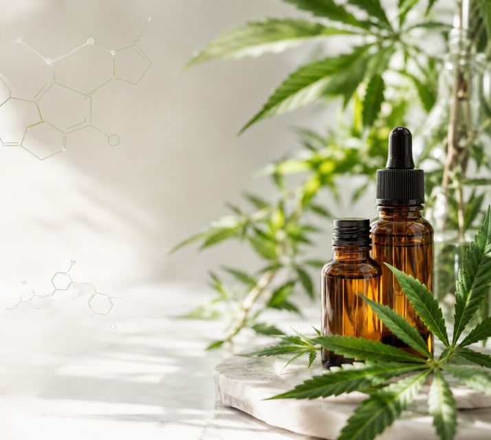 Kannabinoidien koulutus ja hamppukasviyhdisteet