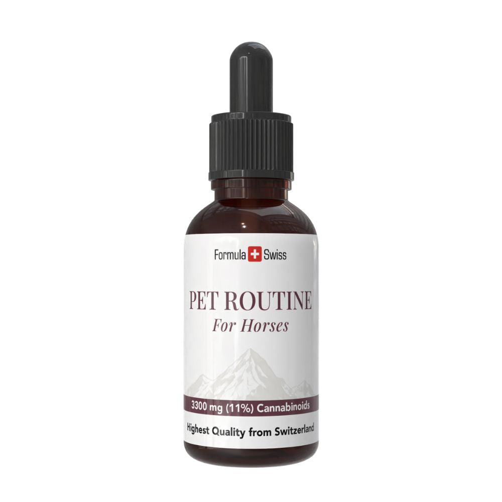 Formula Swiss Pet Routine hevosille – CBD-öljy 10 % CBD, pipettipullo